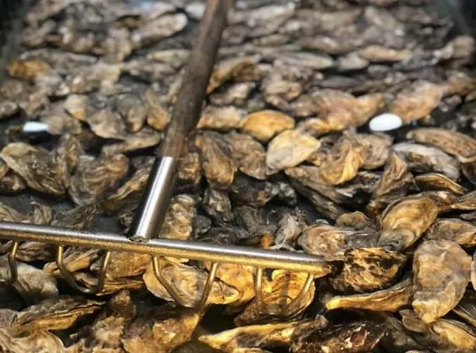 La Source * Hermanville-sur-Mer