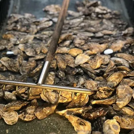 La Source * エルマンヴィル・シュル・メール